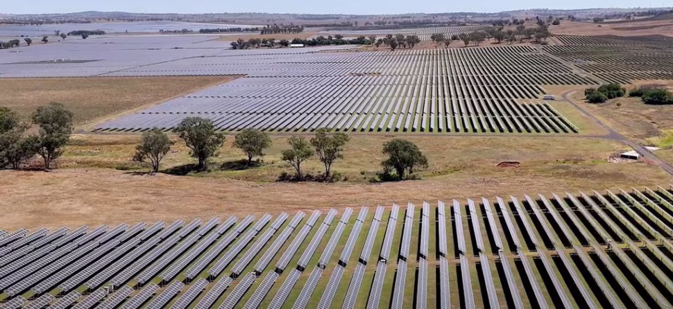 Poles and wires will add $600 in ‘network charges’ to household power bill, thinktank finds